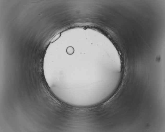 X0000116131361201001041003