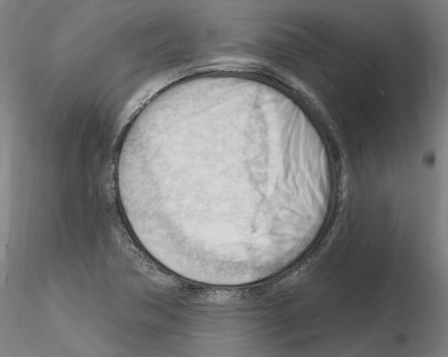 X0000116131362201001041003