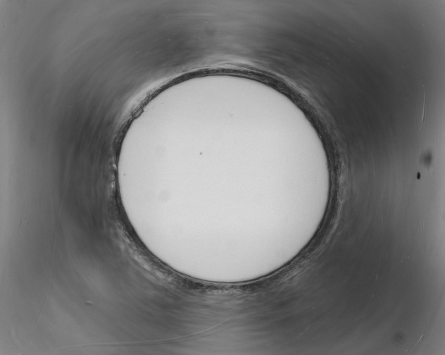 X0000116131363201001041003