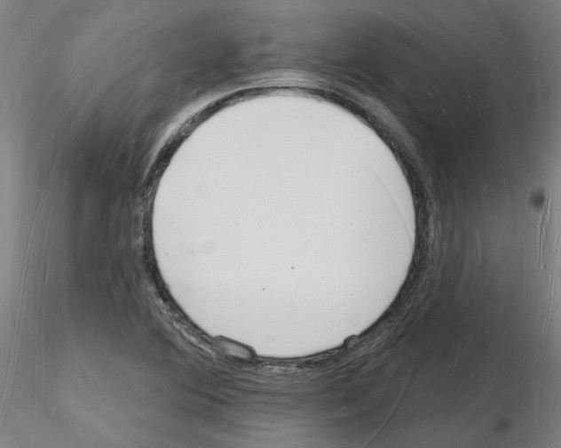 X0000116131364201001041003