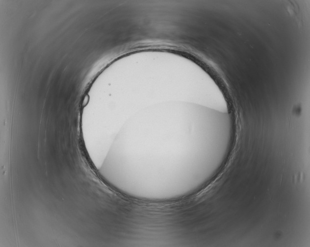 X0000116131365201001041003