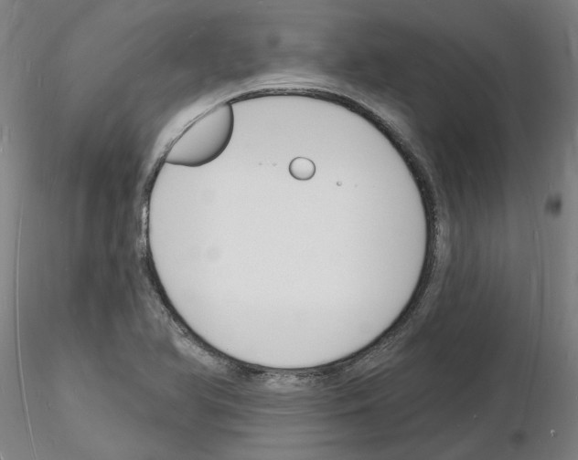 X0000116131366201001041003