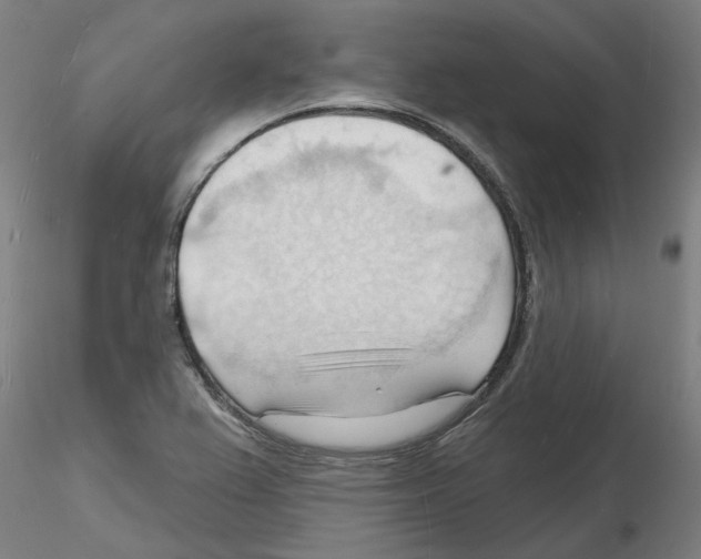 X0000116131367201001041002