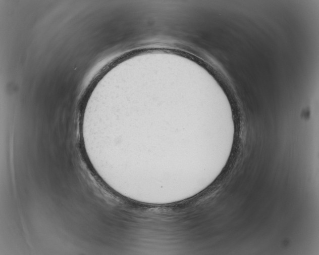 X0000116131368201001041002