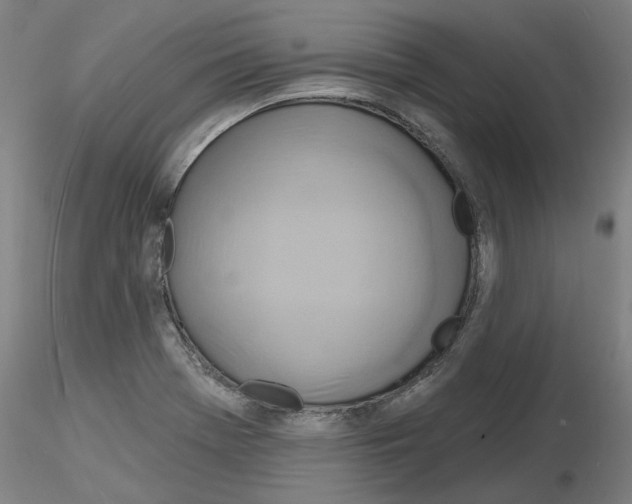 X0000116131369201001041002
