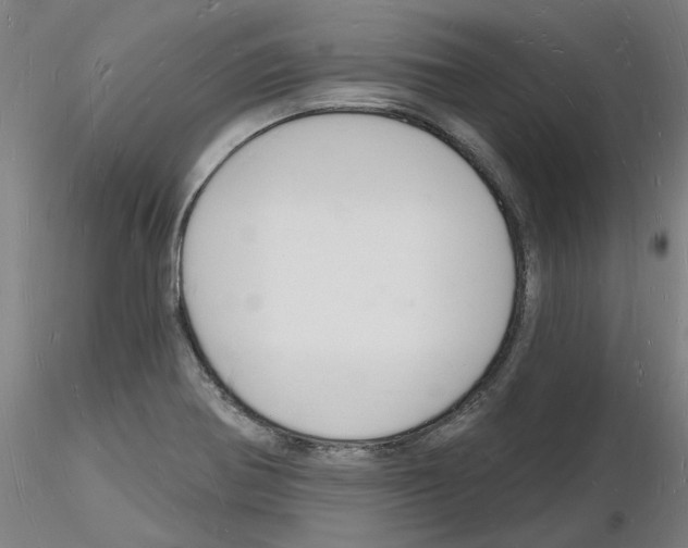 X0000116131370201001041002