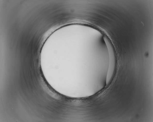 X0000116131371201001041002