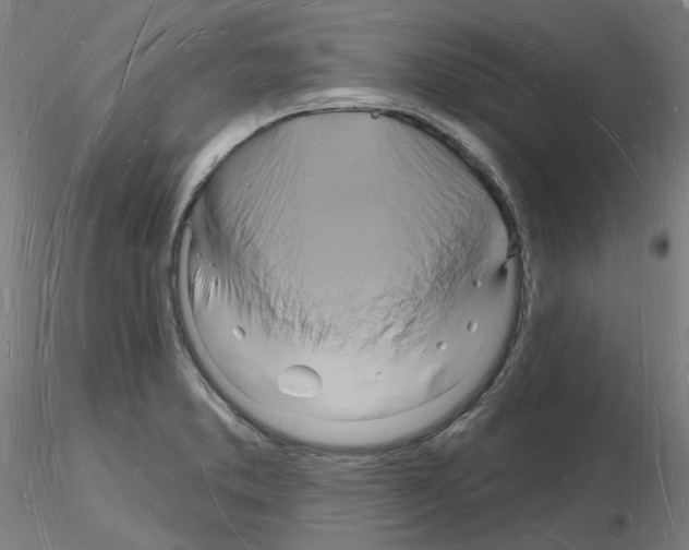 X0000116131373201001041002