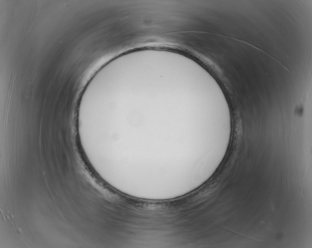 X0000116131375201001041002