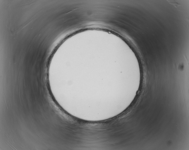 X0000116131376201001041002