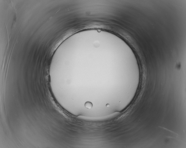 X0000116131377201001041002