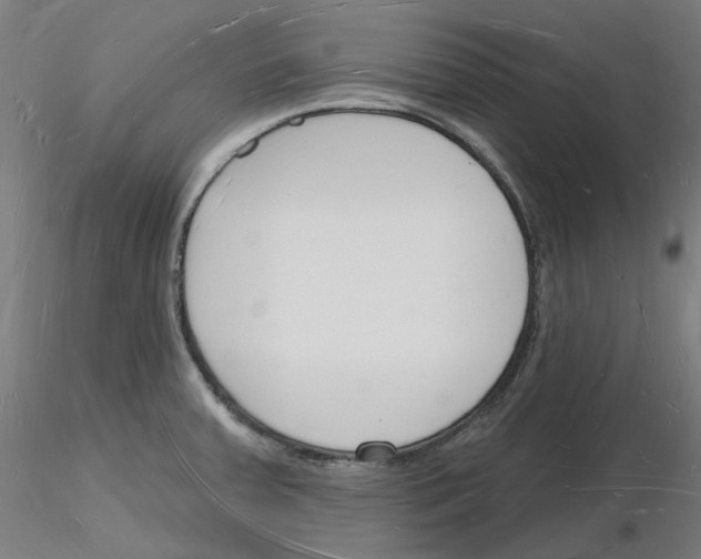X0000116131379201001041002