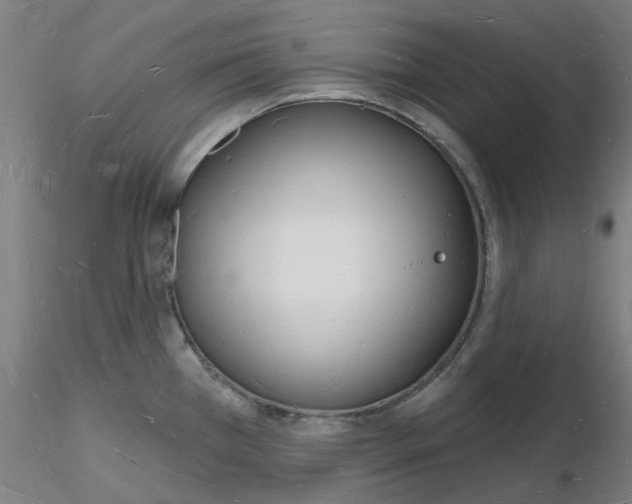 X0000116131385201001041002