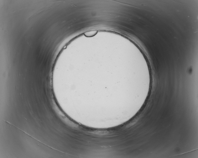 X0000116131388201001041002