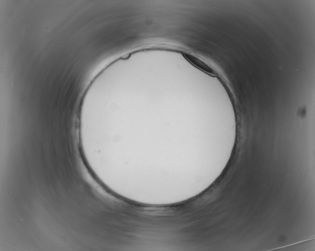 X0000116131391201001041002