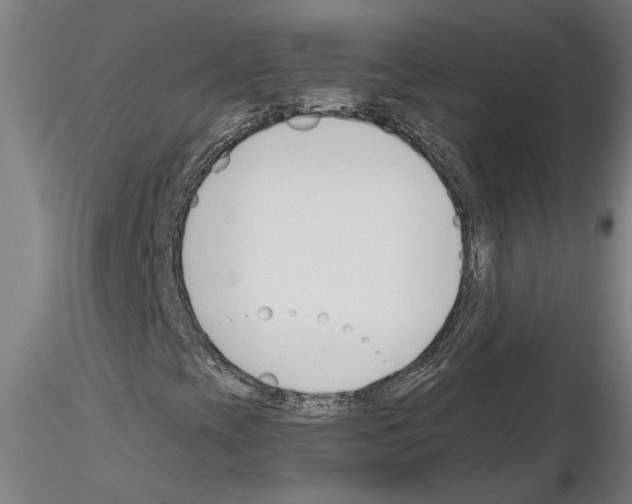 X0000116131393201001041002
