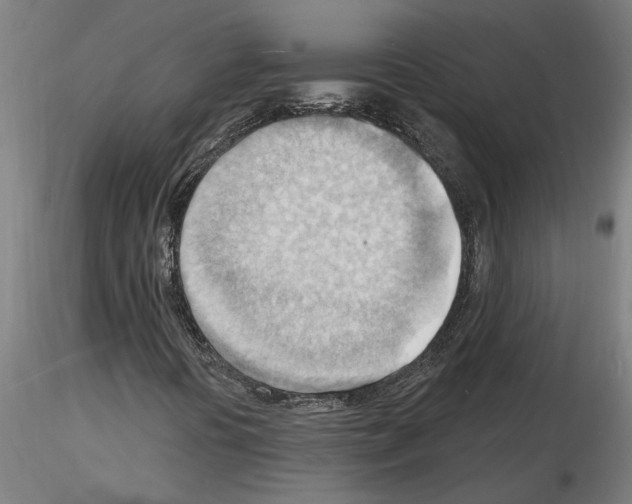 X0000116131394201001041002