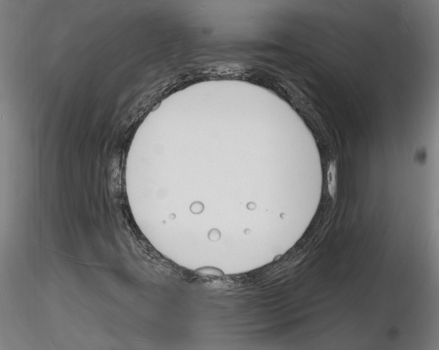 X0000116131395201001041002