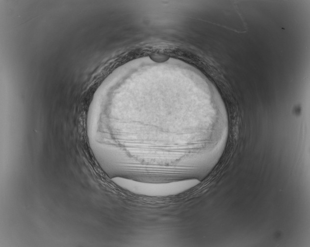 X0000116131397201001041002