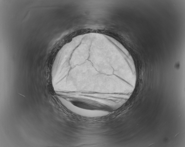 X0000116131398201001041002