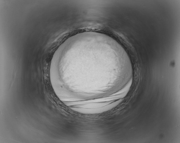 X0000116131399201001041002