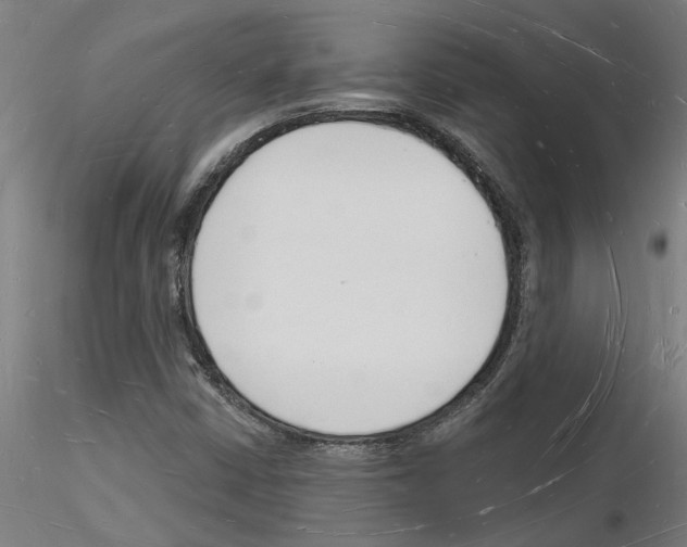 X0000116131402201001041002