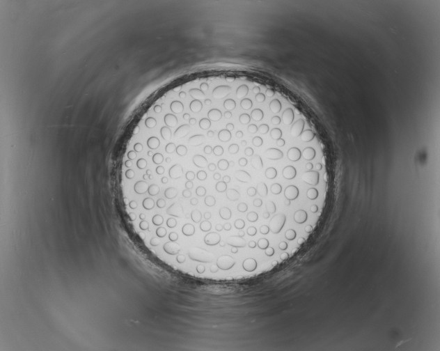 X0000116131404201001041002