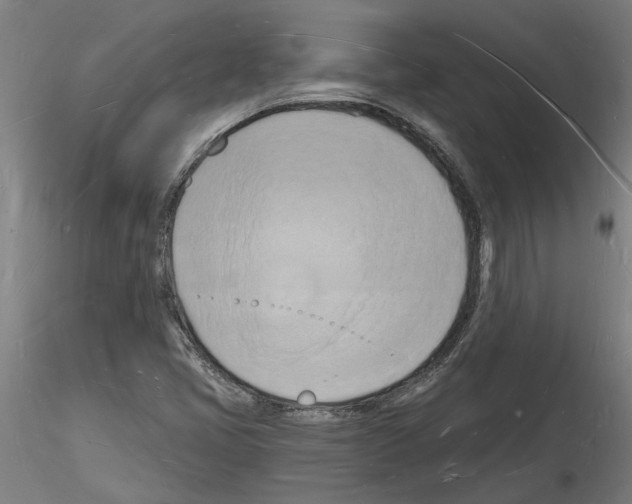 X0000116131405201001041002