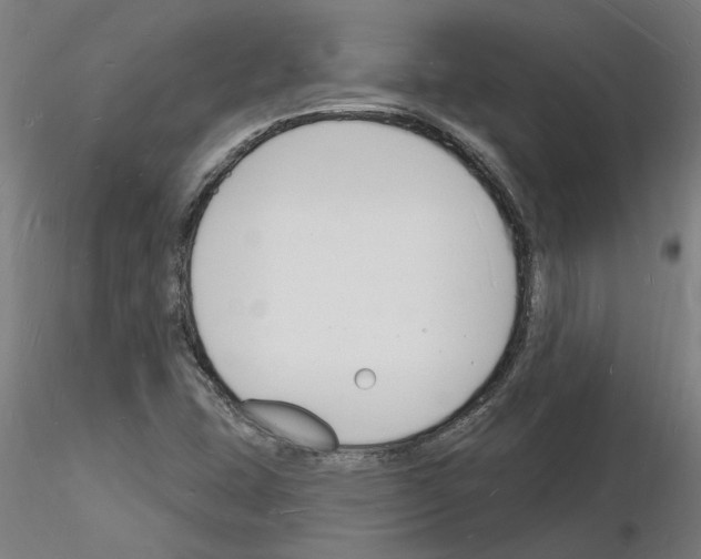 X0000116131407201001041002