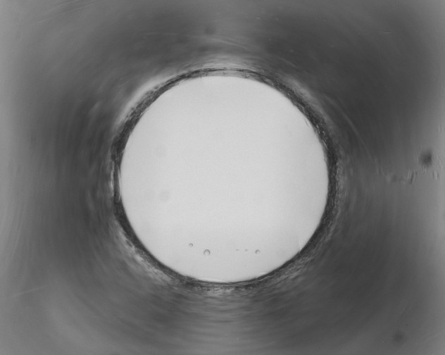 X0000116131408201001041002