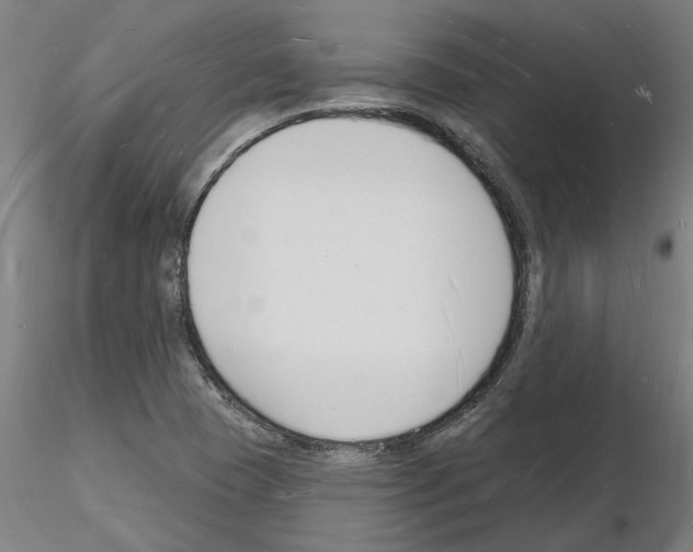 X0000116131409201001041002