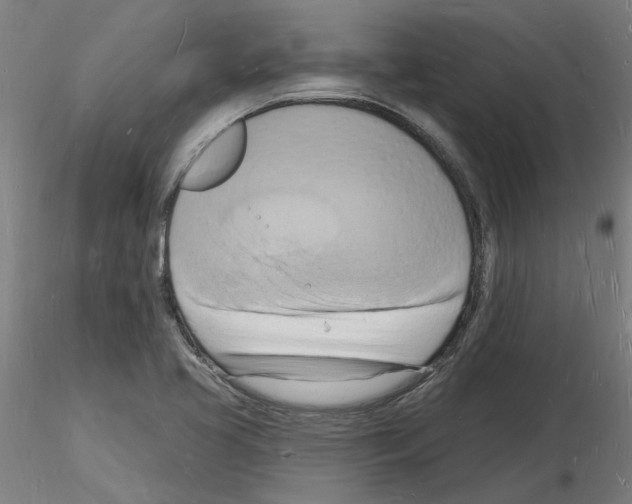 X0000116131413201001041002