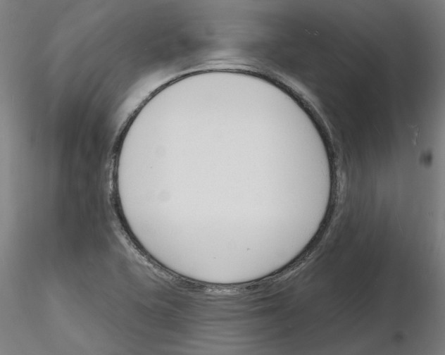 X0000116131415201001041002