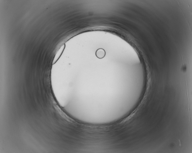 X0000116131417201001041002