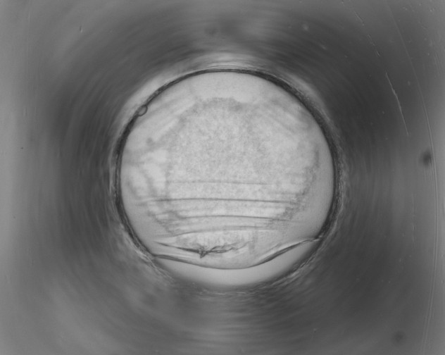 X0000116131419201001041002