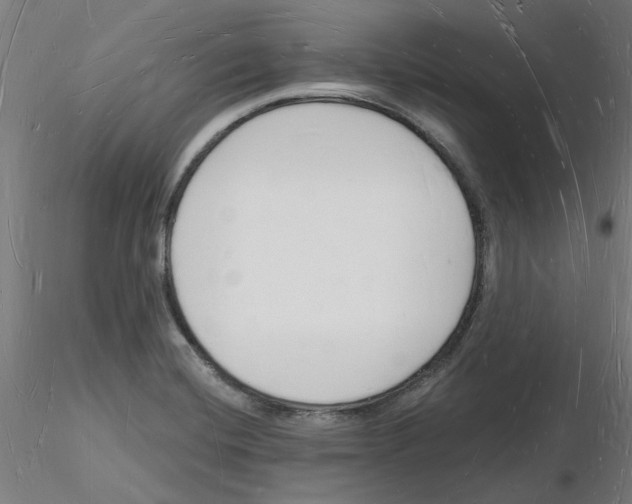 X0000116131420201001041002