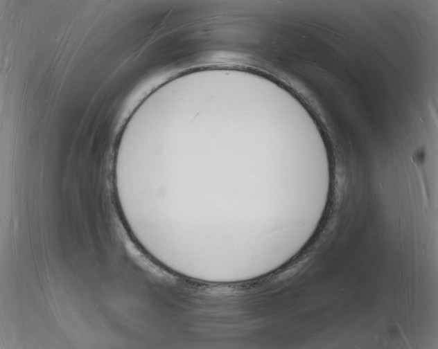 X0000116131421201001041002