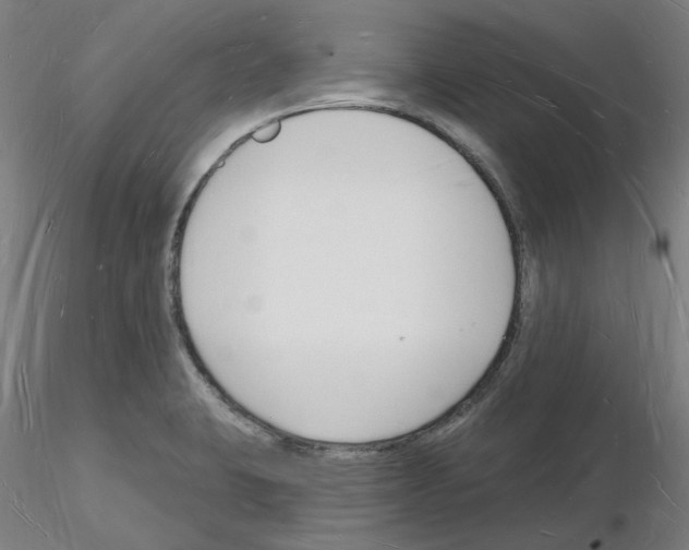 X0000116131423201001041002