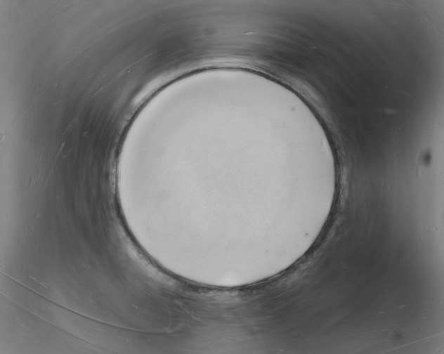 X0000116131428201001041002