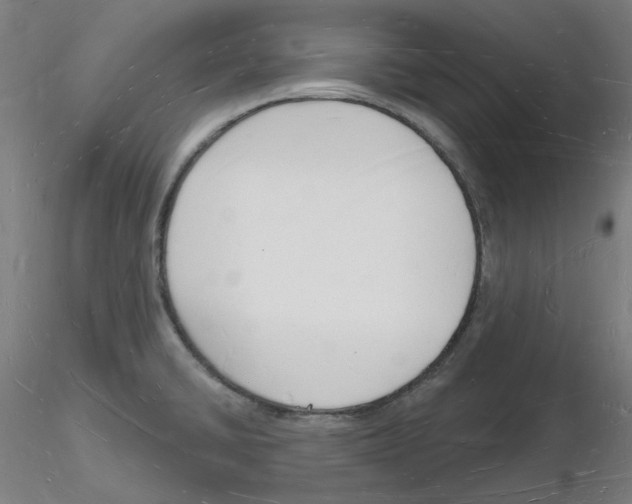 X0000116131430201001041002