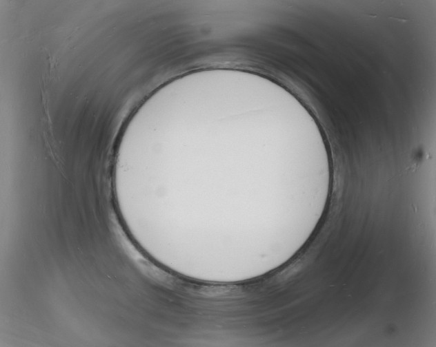X0000116131434201001041002