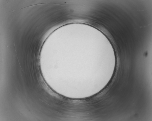 X0000116131436201001041002