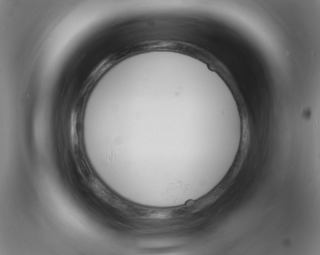 X0000116131439201001041002