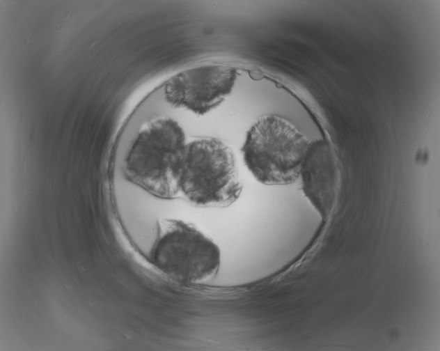X0000116131440201001041002