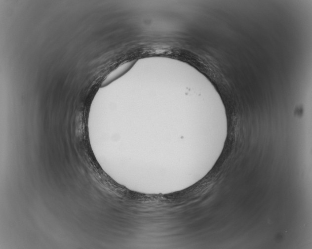 X0000116131442201001041001