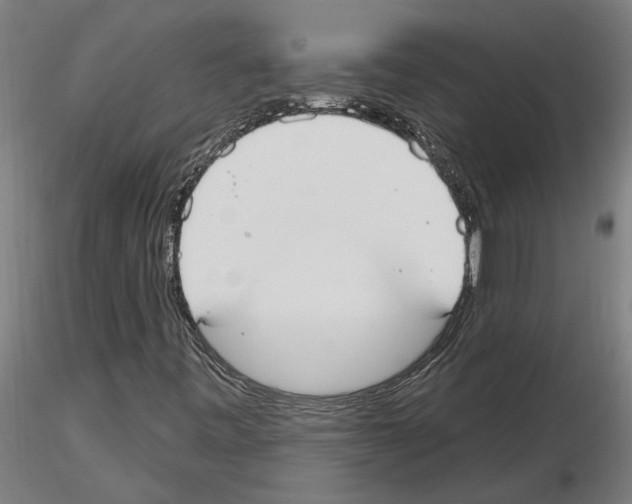 X0000116131443201001041001