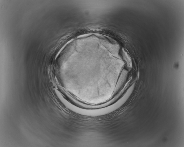 X0000116131444201001041001
