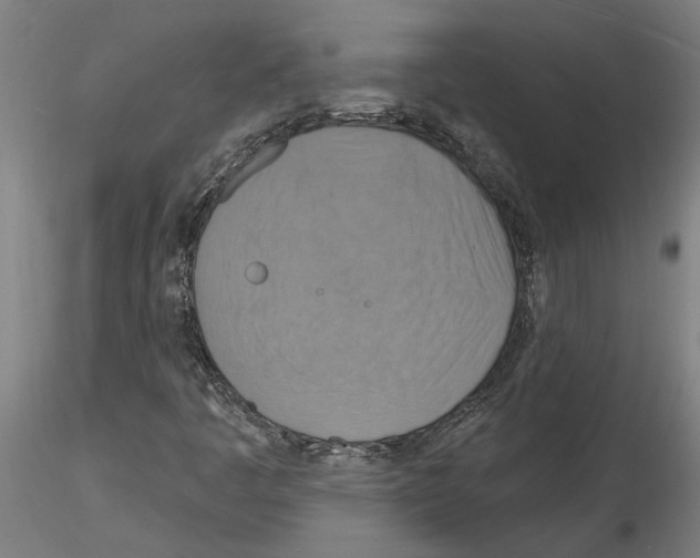 X0000116131445201001041001