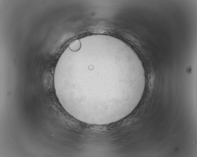 X0000116131446201001041001