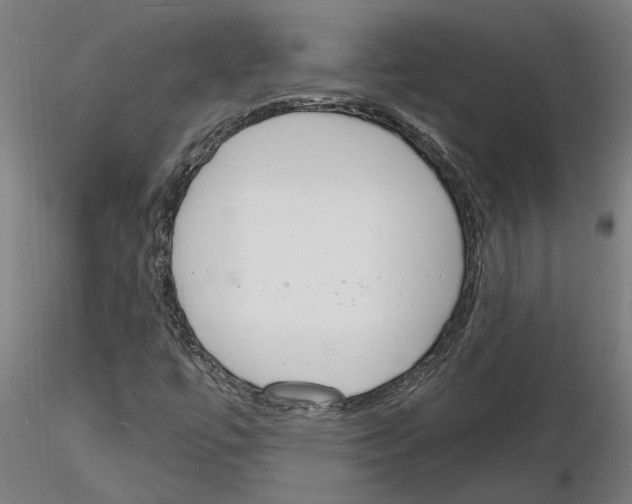 X0000116131447201001041001